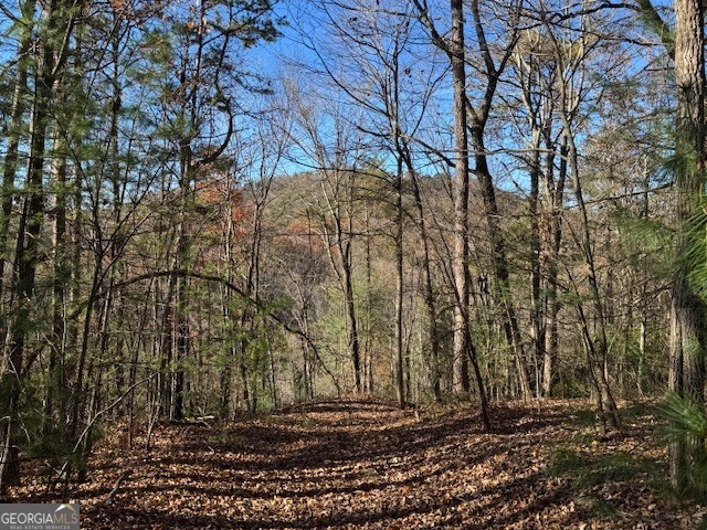 0 John Call Road Ellijay GA 30536