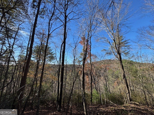 0 John Call Road Ellijay GA 30536