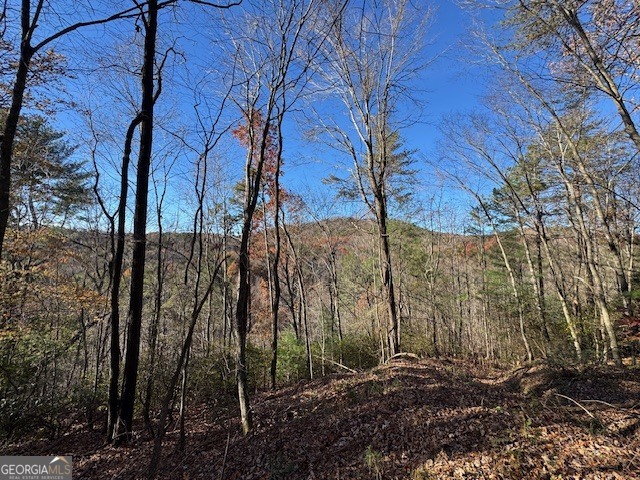 0 John Call Road Ellijay GA 30536