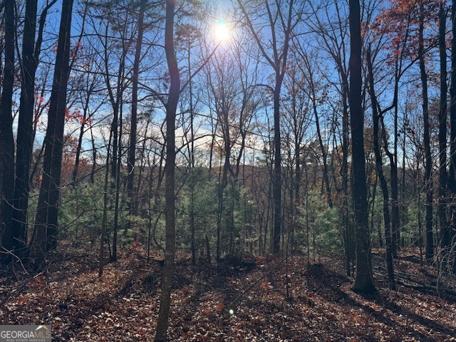 0 John Call Road Ellijay GA 30536