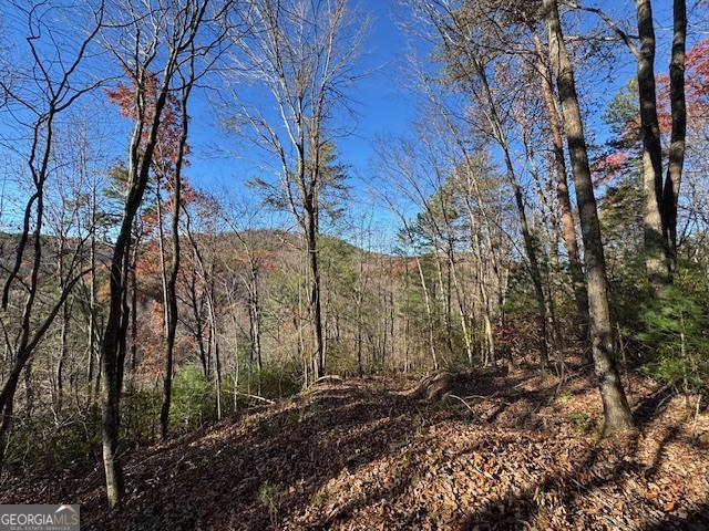 0 John Call Road Ellijay GA 30536