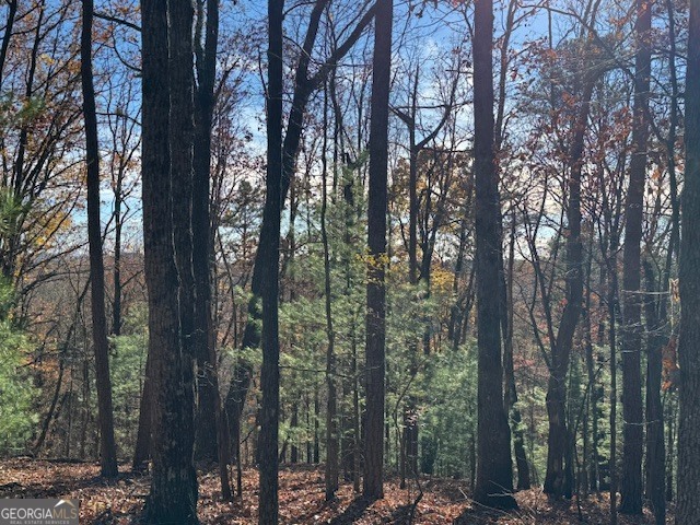 0 John Call Road Ellijay GA 30536