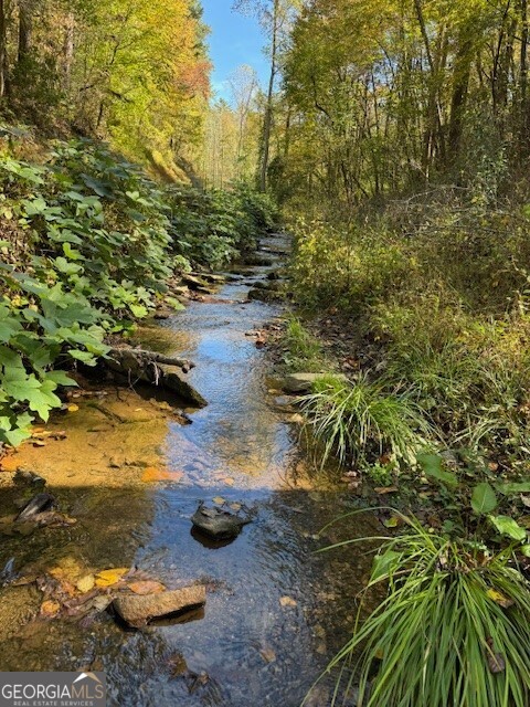 0 John Call Road Ellijay GA 30536