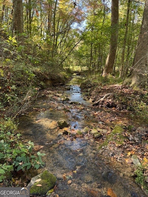 0 John Call Road Ellijay GA 30536