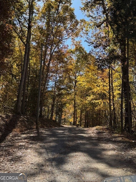 0 John Call Road Ellijay GA 30536