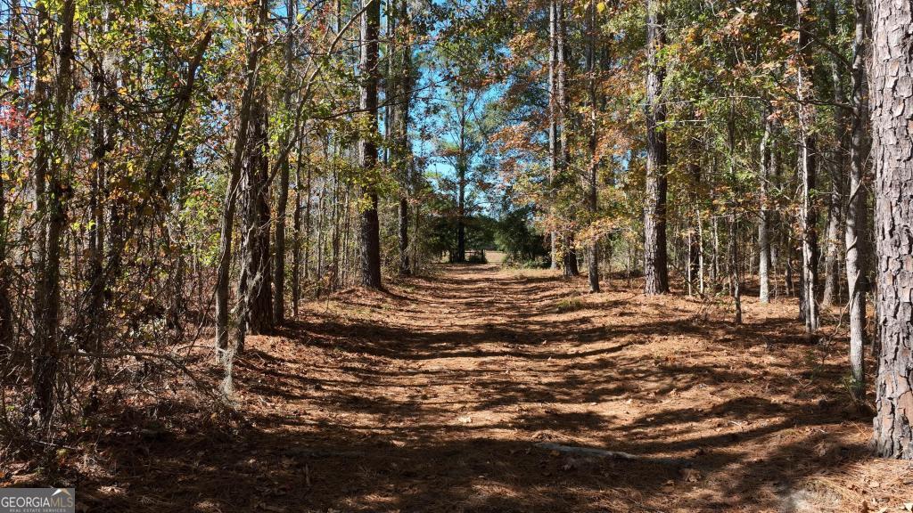 0 Anderson Road Statesboro GA 30458