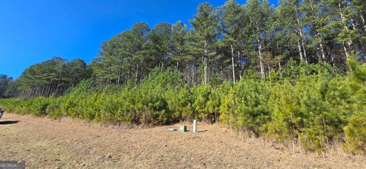 Lot 41 Deyton Drive Blairsville GA 30512