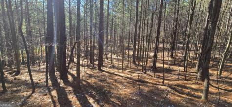 Lot 41 Deyton Drive Blairsville GA 30512