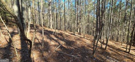 Lot 41 Deyton Drive Blairsville GA 30512