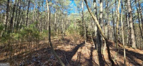 Lot 41 Deyton Drive Blairsville GA 30512