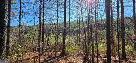 Lot 41 Deyton Drive Blairsville GA 30512