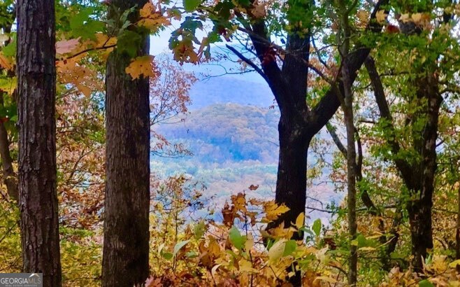 43.91 Old Burnt Mountain Road Ellijay GA 30540