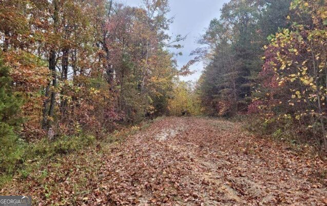 43.91 Old Burnt Mountain Road Ellijay GA 30540