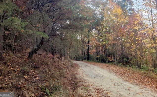 43.91 Old Burnt Mountain Road Ellijay GA 30540