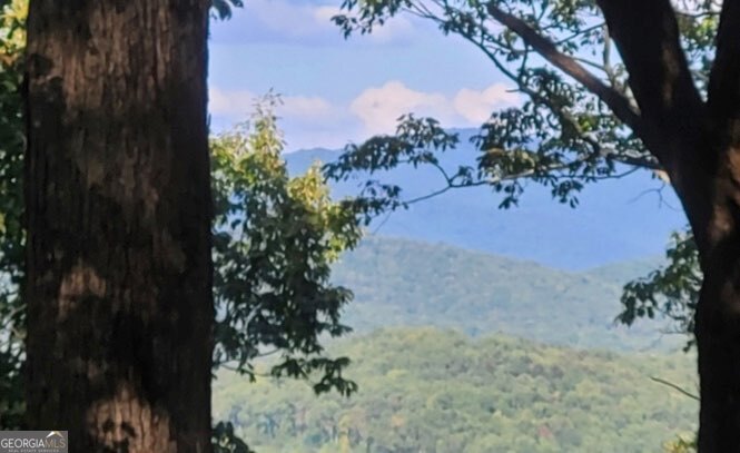 43.91 Old Burnt Mountain Road Ellijay GA 30540