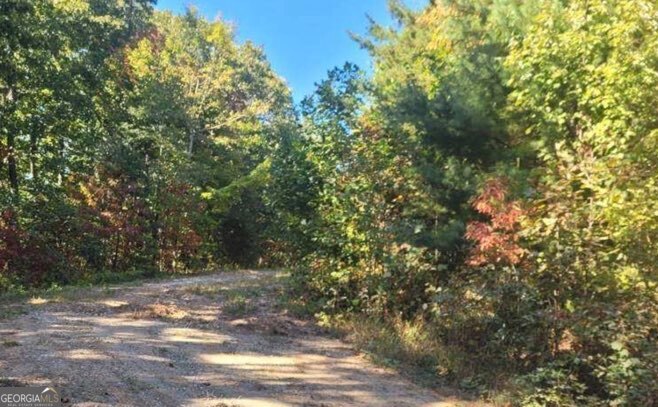 43.91 Old Burnt Mountain Road Ellijay GA 30540