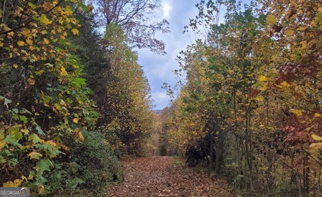 43.91 Old Burnt Mountain Road Ellijay GA 30540
