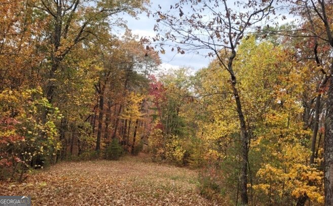 43.91 Old Burnt Mountain Road Ellijay GA 30540