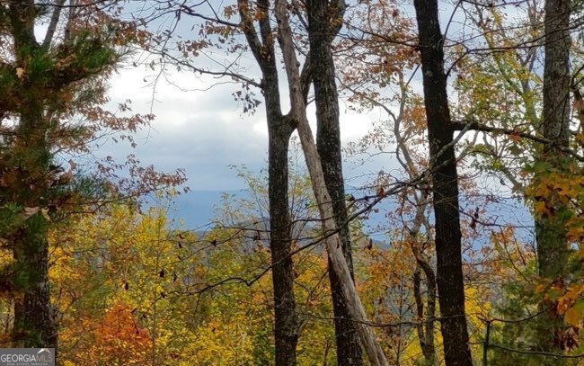 43.91 Old Burnt Mountain Road Ellijay GA 30540