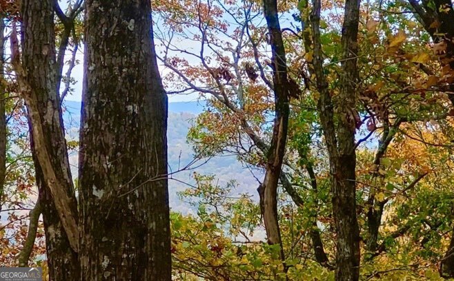 43.91 Old Burnt Mountain Road Ellijay GA 30540