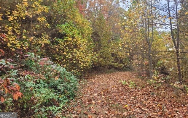 43.91 Old Burnt Mountain Road Ellijay GA 30540