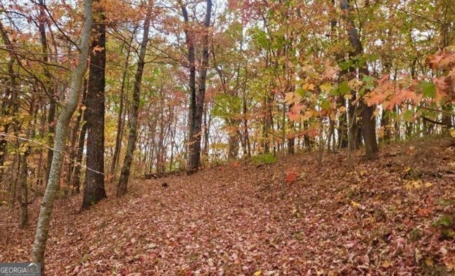 43.91 Old Burnt Mountain Road Ellijay GA 30540