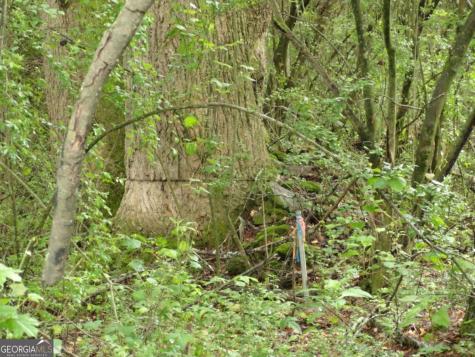 8664 Cumming Highway Canton GA 30115