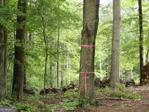 8664 Cumming Highway Canton GA 30115