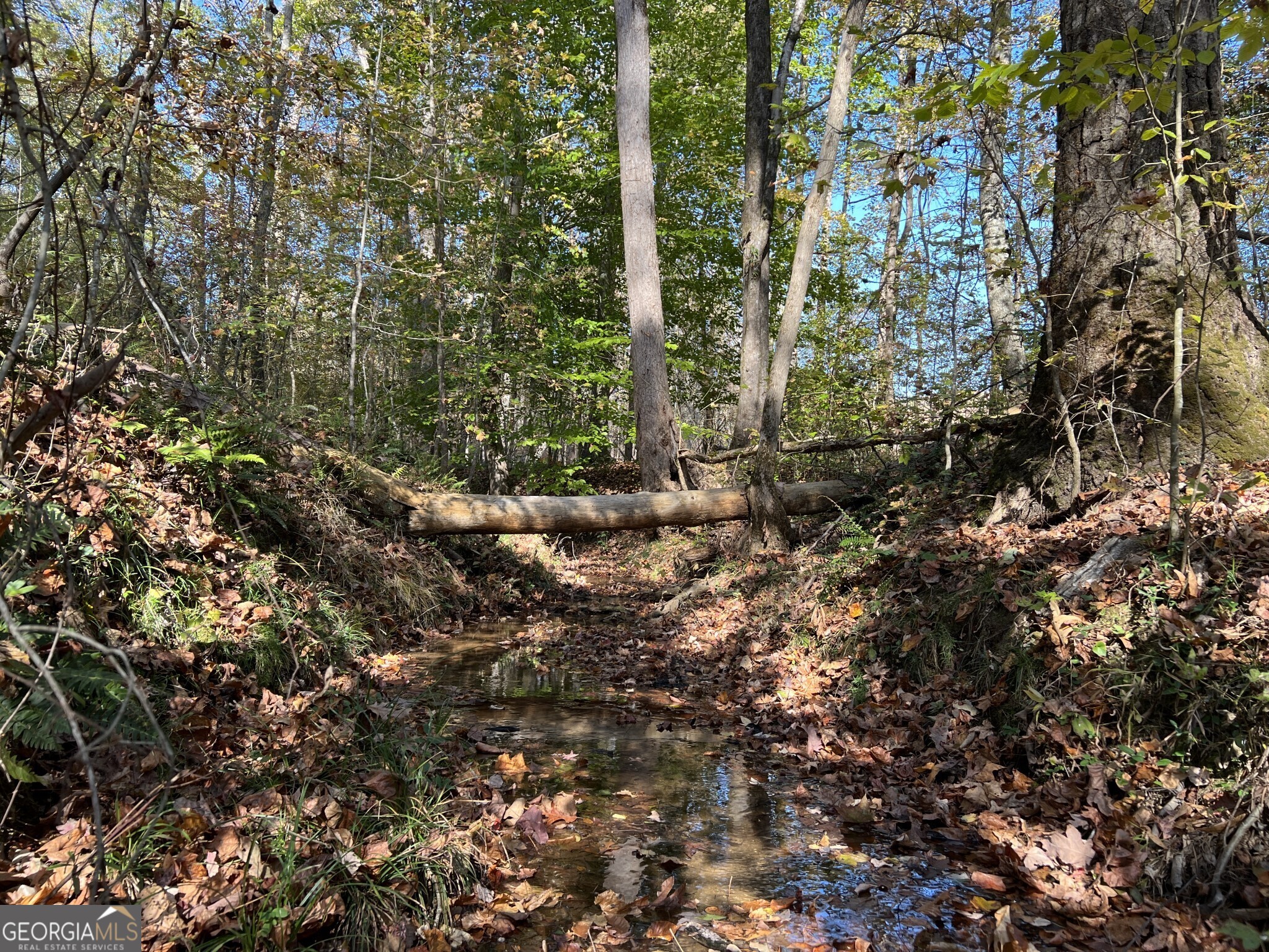 Tract 3 North Ruckersville Road Elberton GA 30635