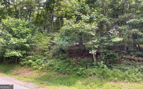 #10 Mountain Drive North Hiawassee GA 30546