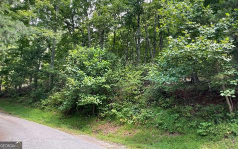 #10 Mountain Drive North Hiawassee GA 30546