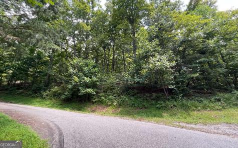 #10 Mountain Drive North Hiawassee GA 30546