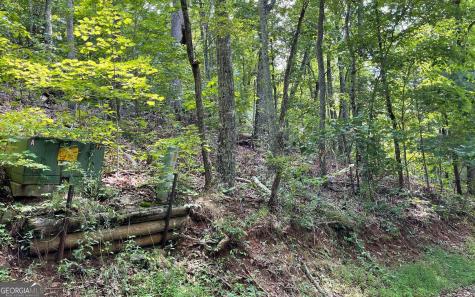 #10 Mountain Drive North Hiawassee GA 30546