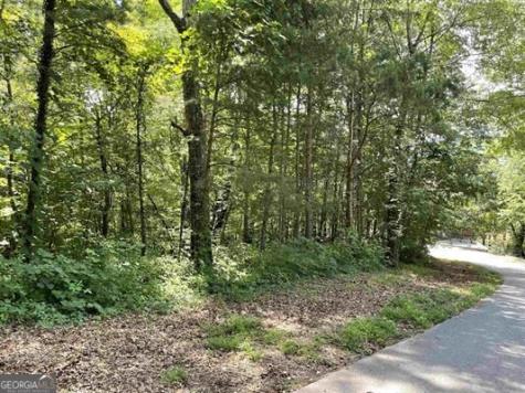 #10 Mountain Drive North Hiawassee GA 30546