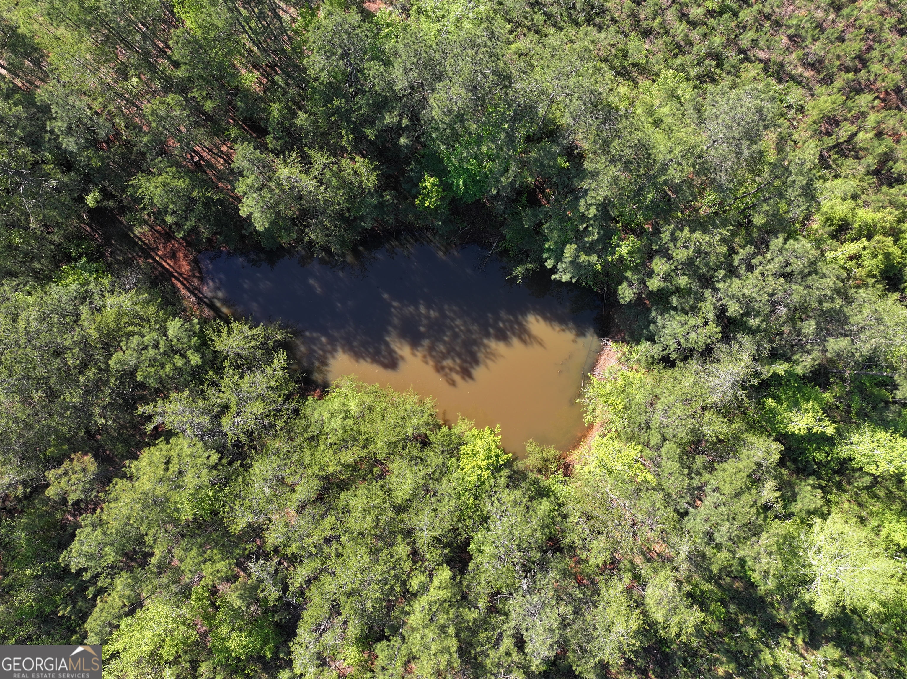 118 +/- Acres On Lumpkin Road Cedartown GA 30125