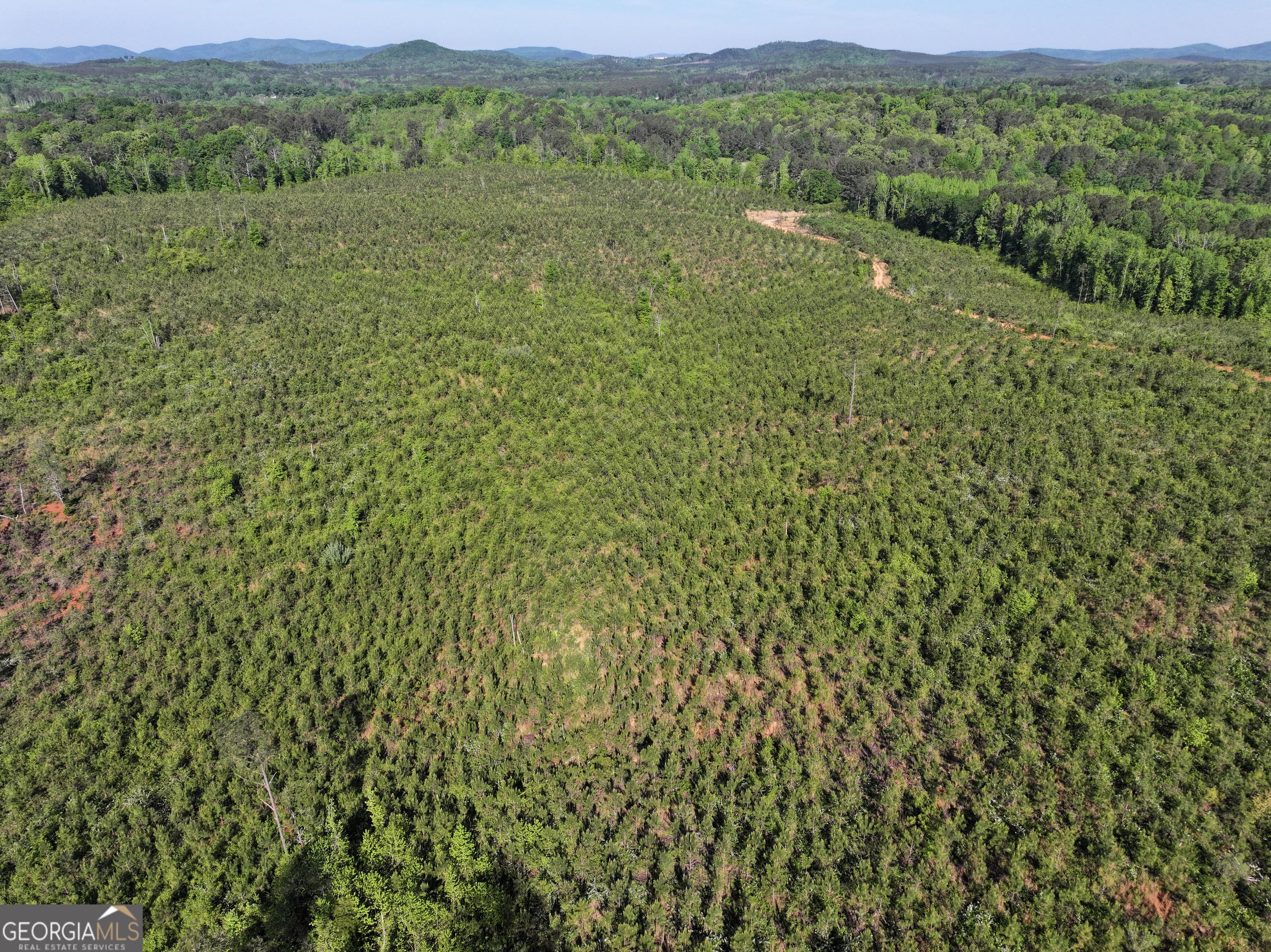 118 +/- Acres On Lumpkin Road Cedartown GA 30125