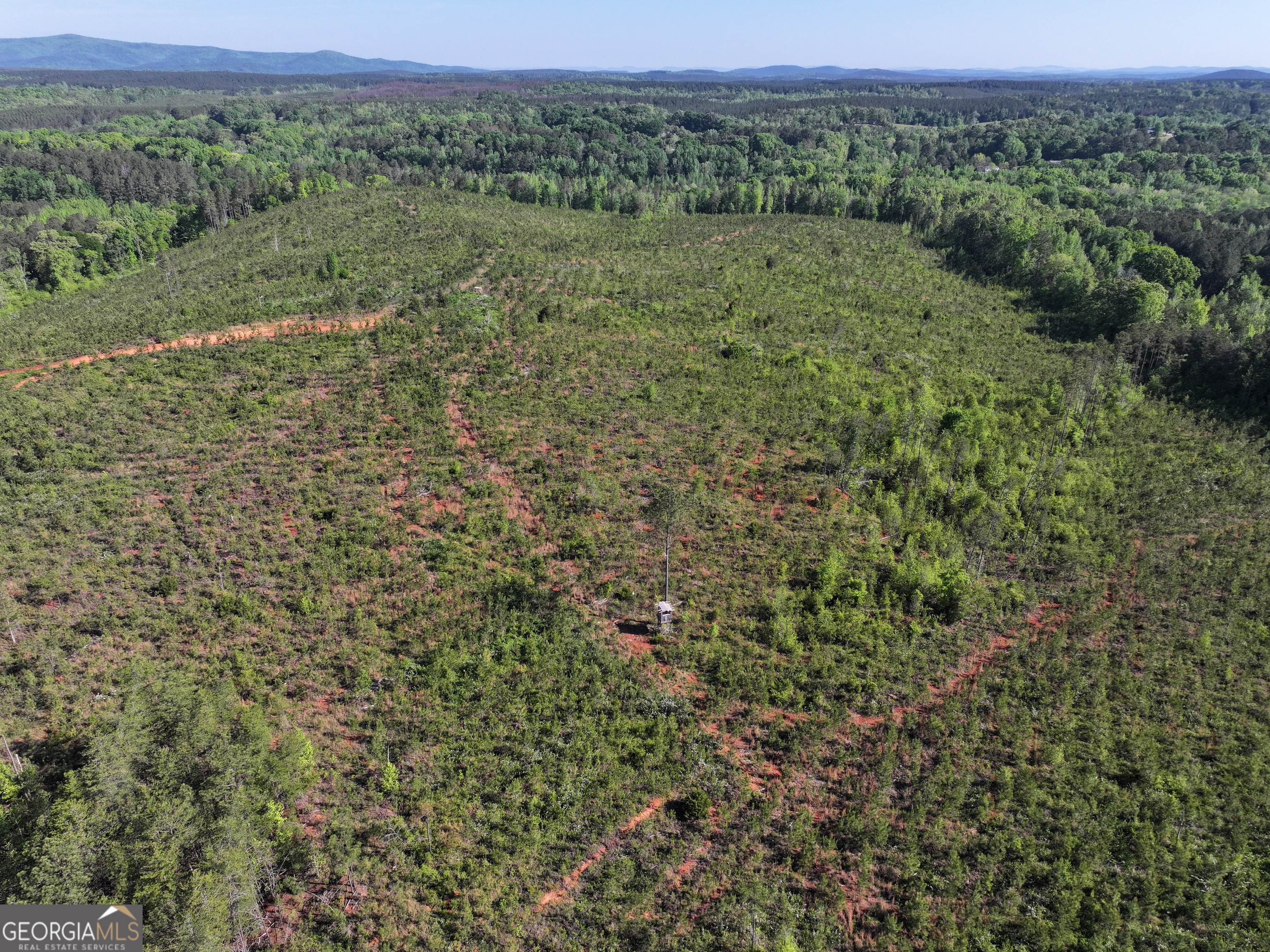 118 +/- Acres On Lumpkin Road Cedartown GA 30125
