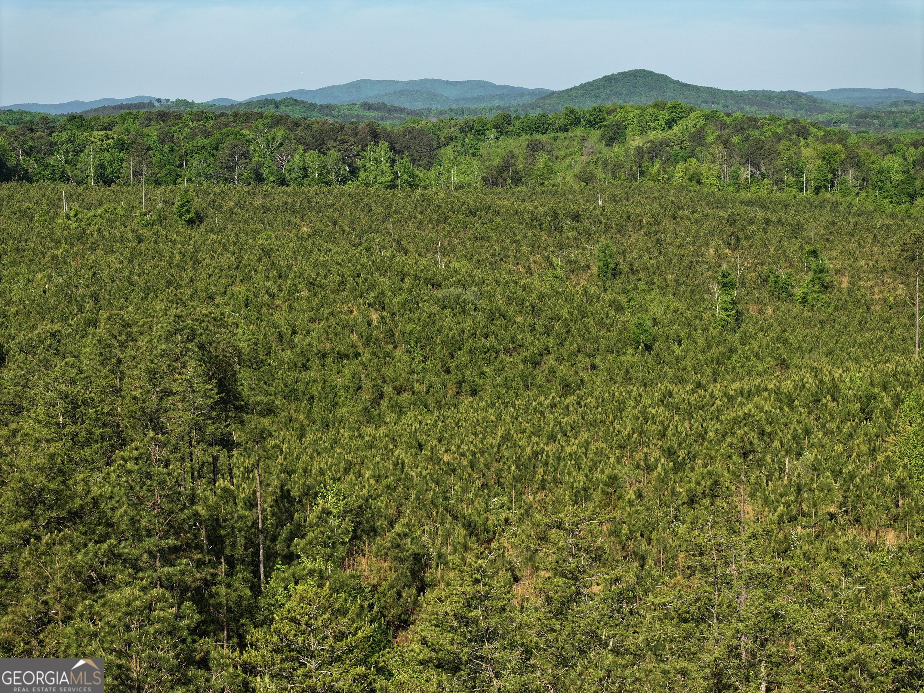 118 +/- Acres On Lumpkin Road Cedartown GA 30125