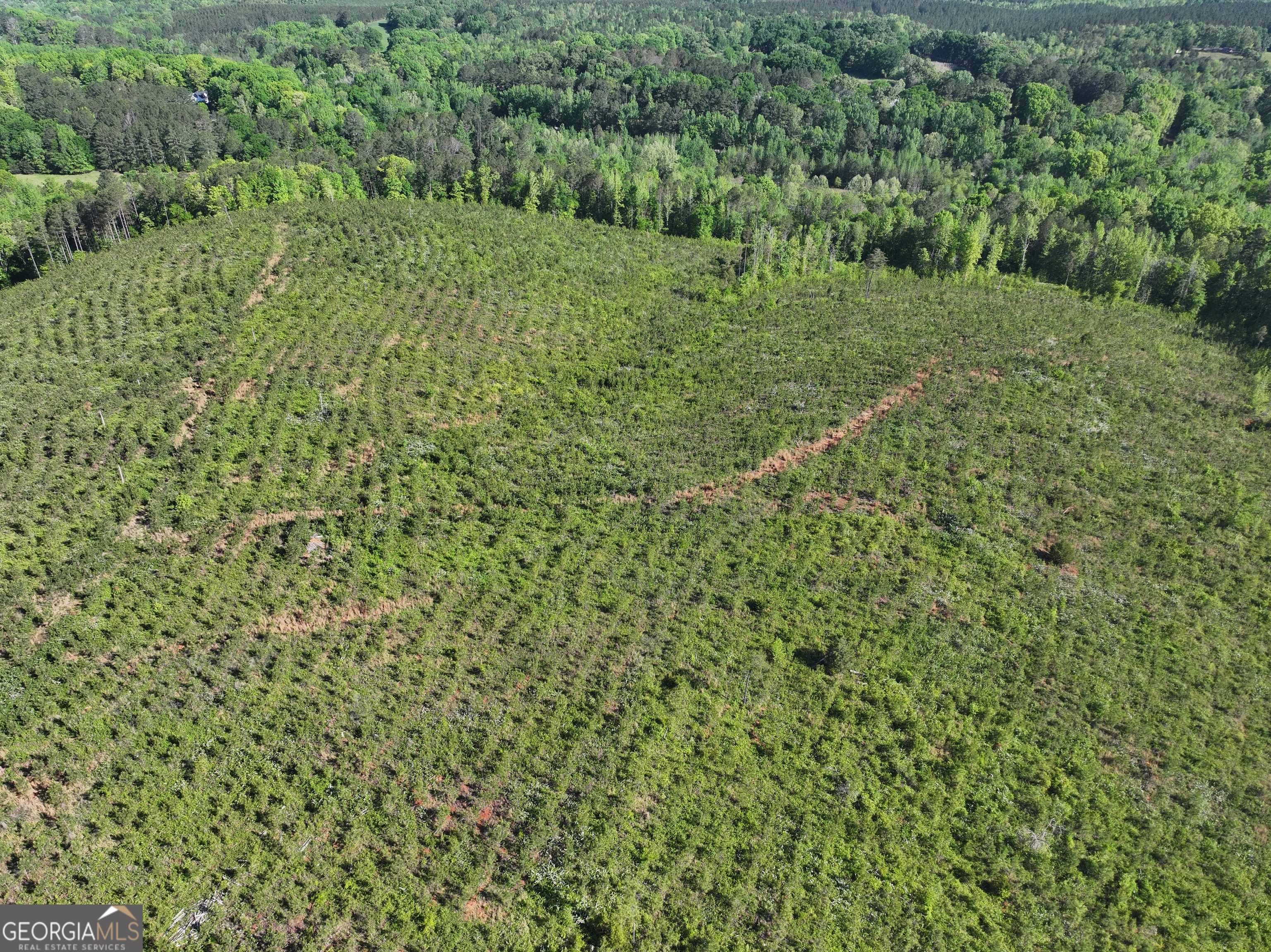 118 +/- Acres On Lumpkin Road Cedartown GA 30125
