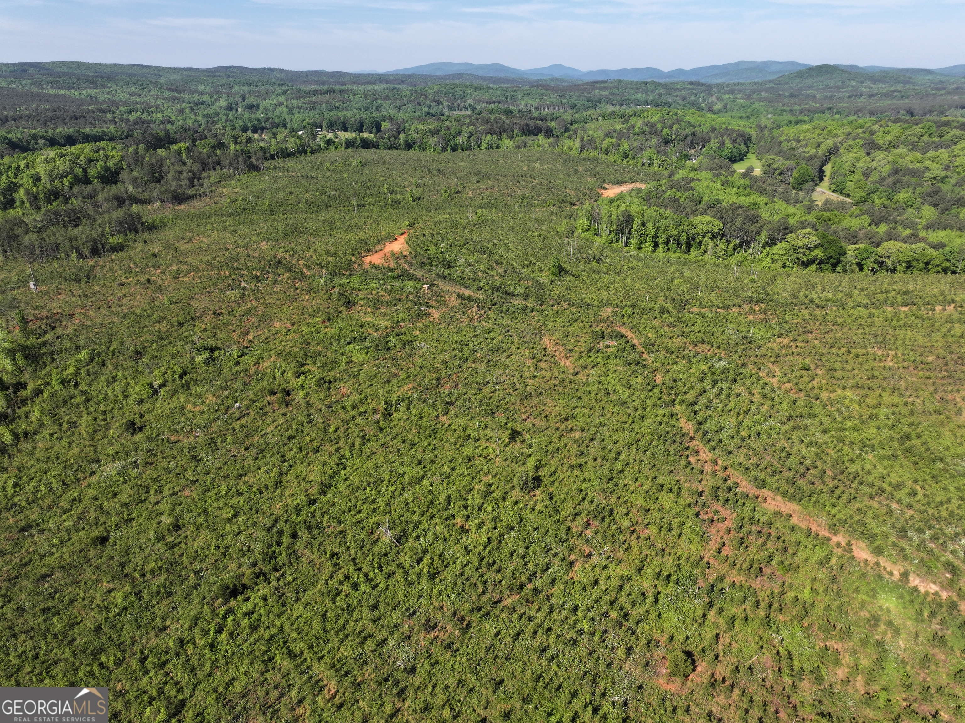 118 +/- Acres On Lumpkin Road Cedartown GA 30125