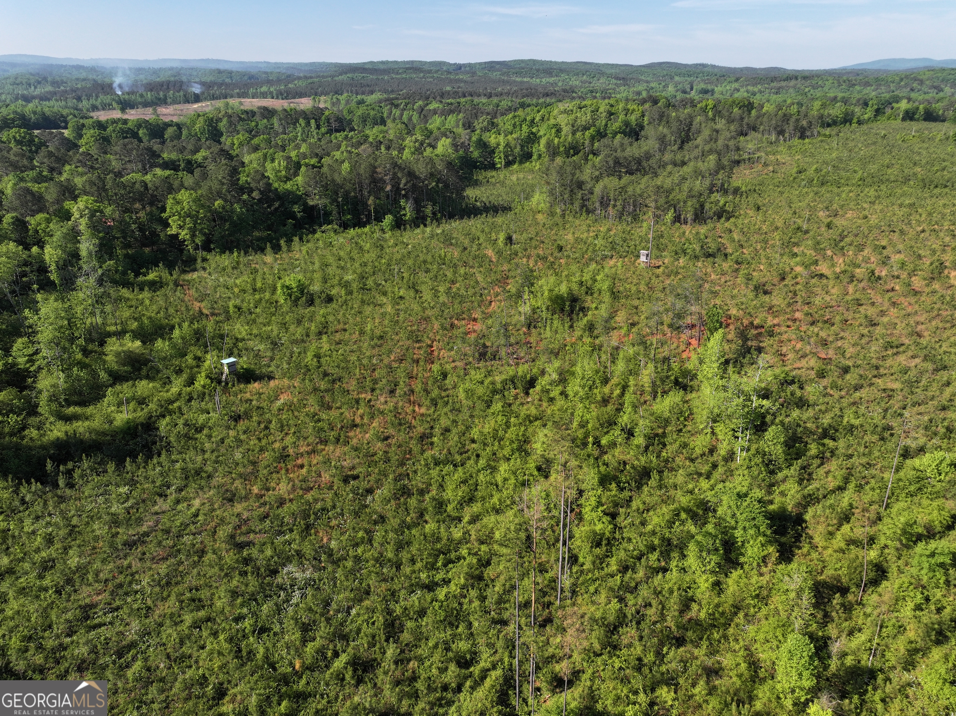 118 +/- Acres On Lumpkin Road Cedartown GA 30125