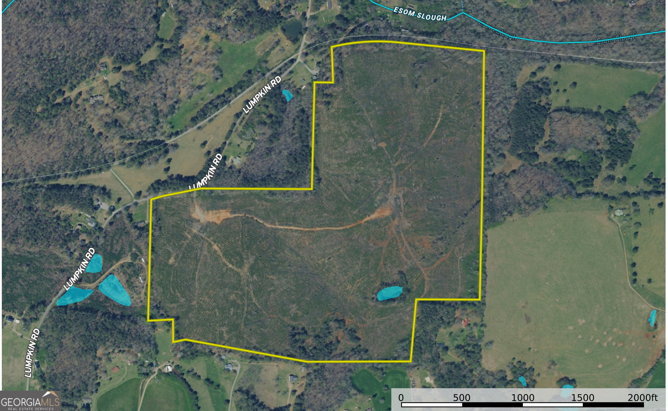 118 +/- Acres On Lumpkin Road Cedartown GA 30125