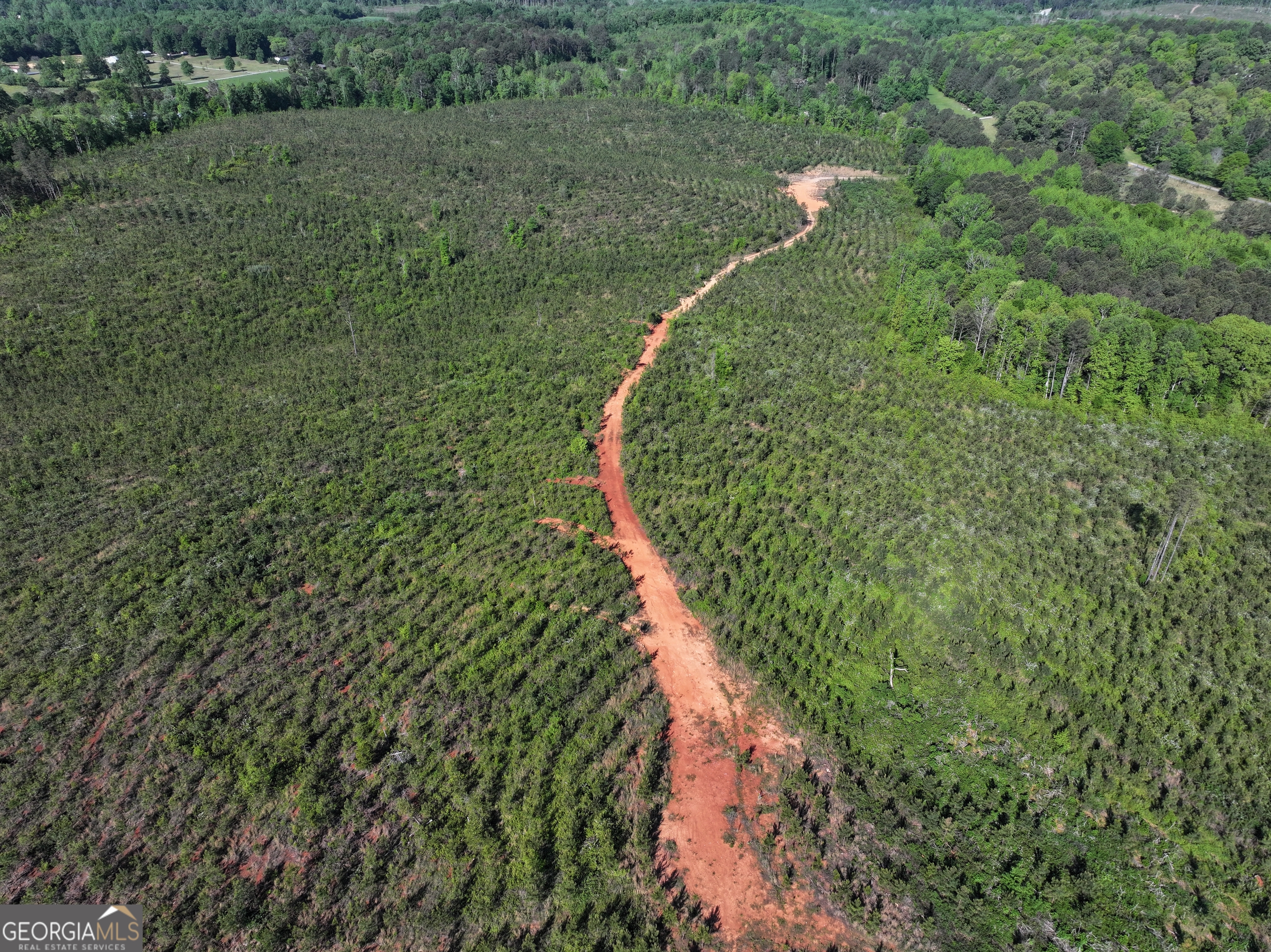 118 +/- Acres On Lumpkin Road Cedartown GA 30125