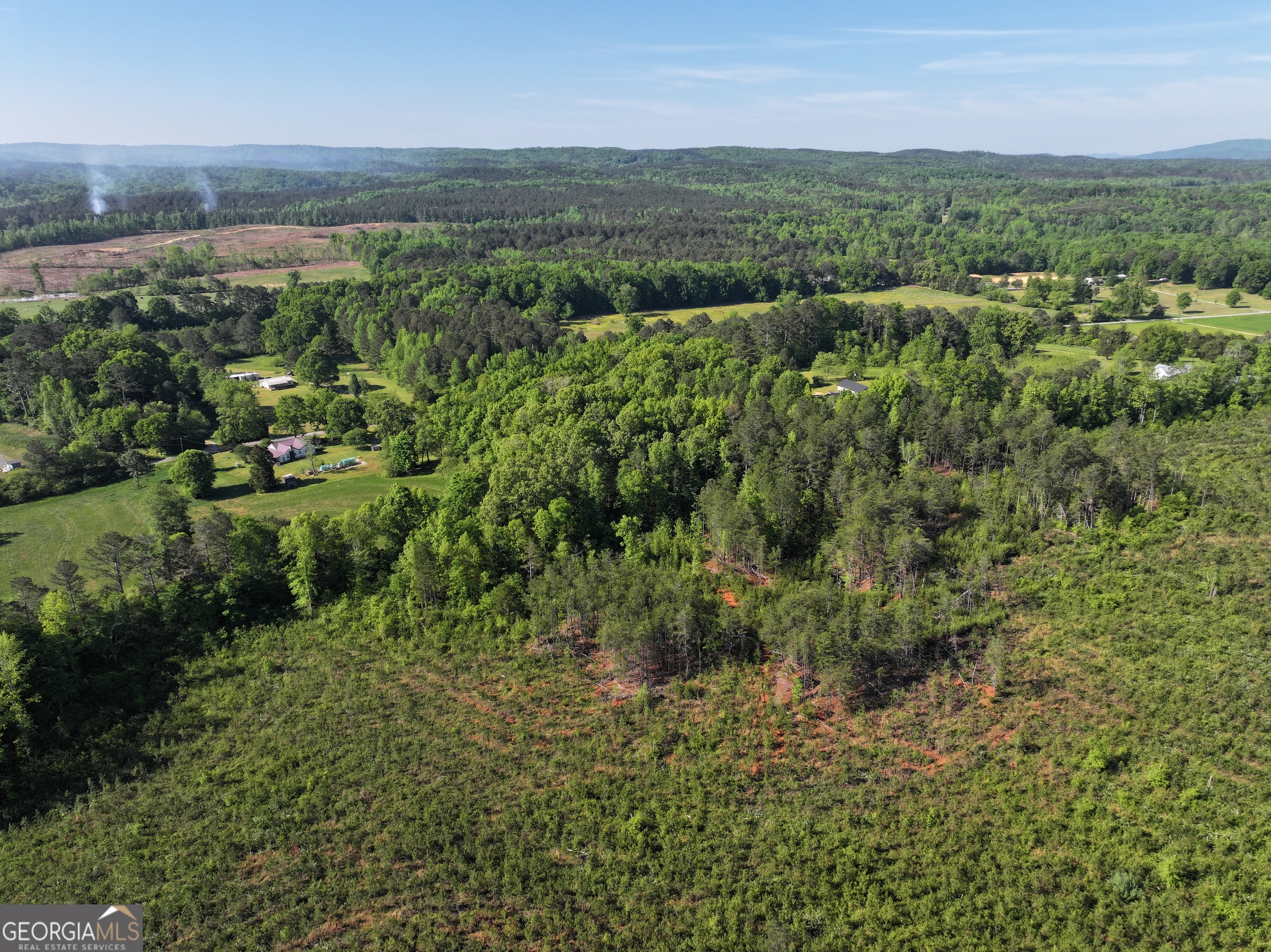118 +/- Acres On Lumpkin Road Cedartown GA 30125