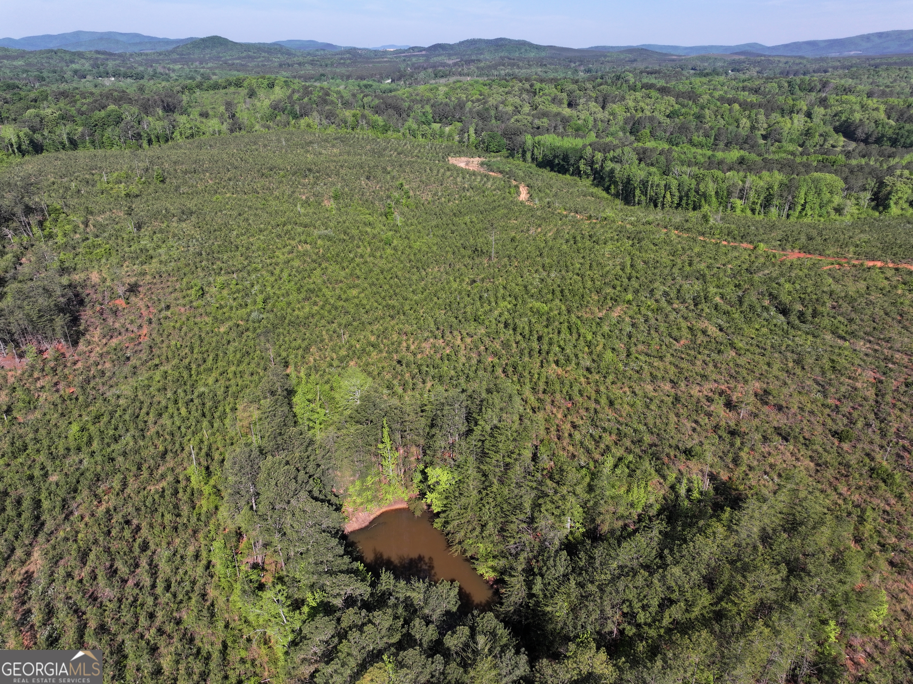 118 +/- Acres On Lumpkin Road Cedartown GA 30125