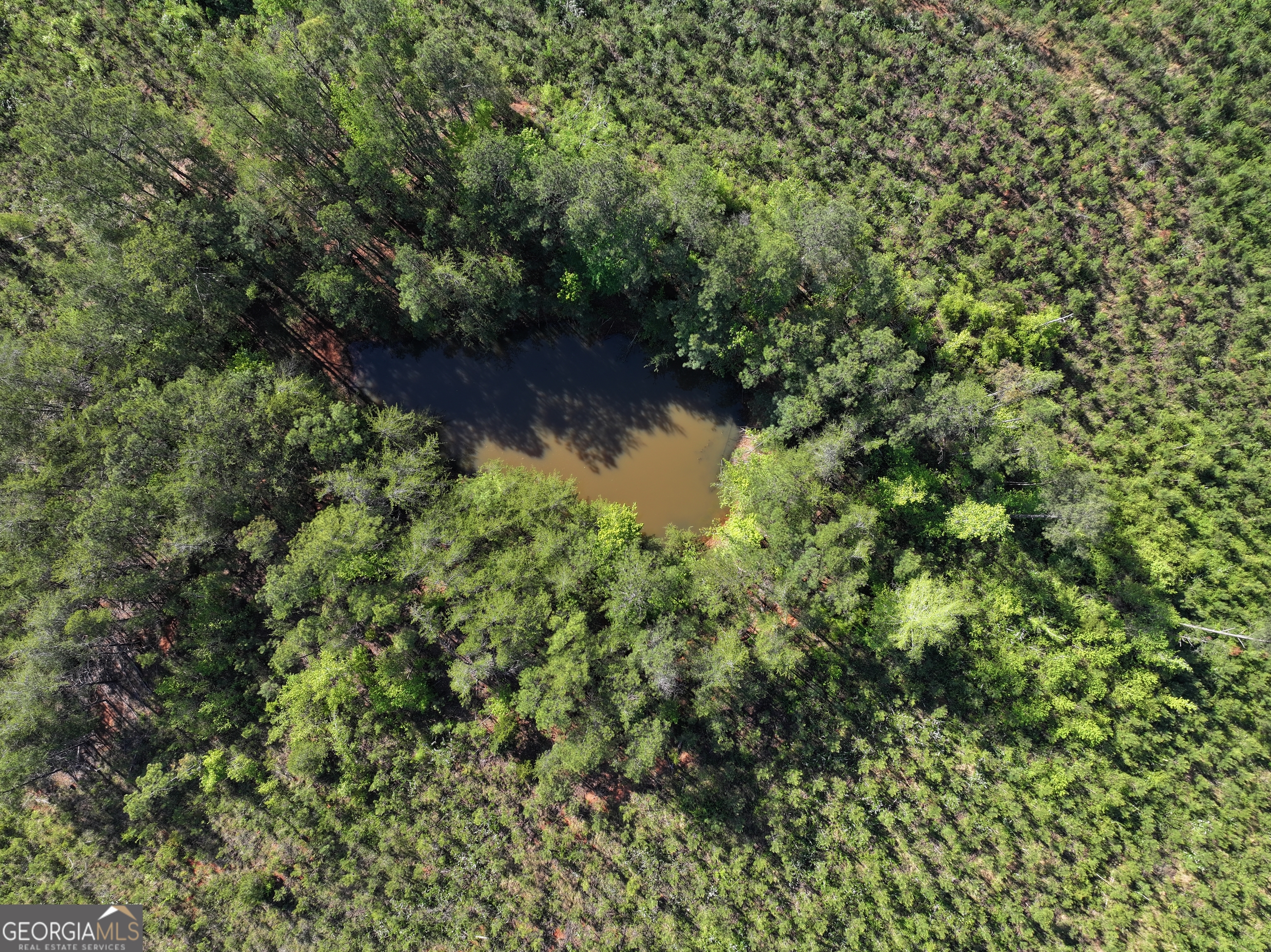 118 +/- Acres On Lumpkin Road Cedartown GA 30125