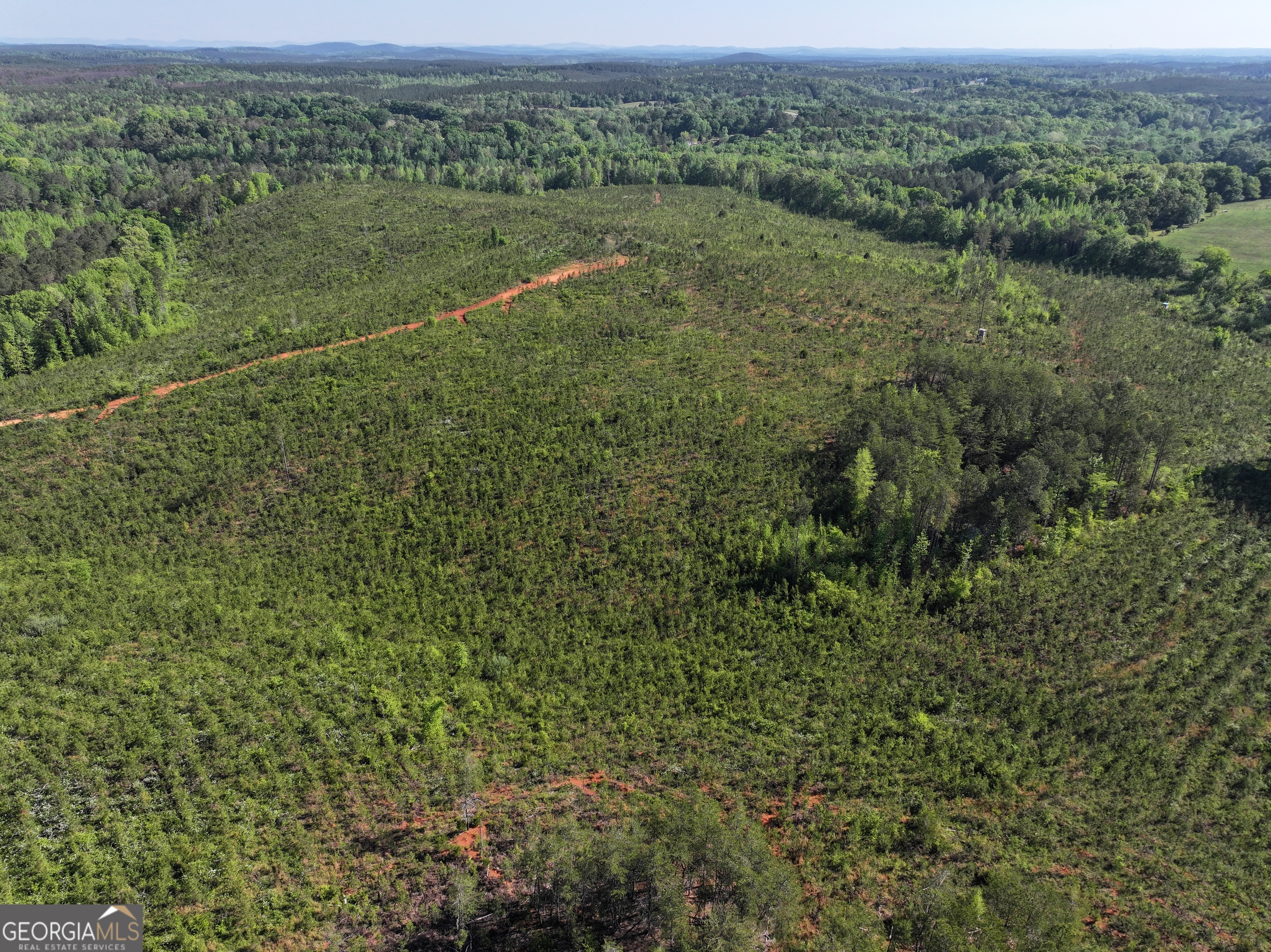 118 +/- Acres On Lumpkin Road Cedartown GA 30125