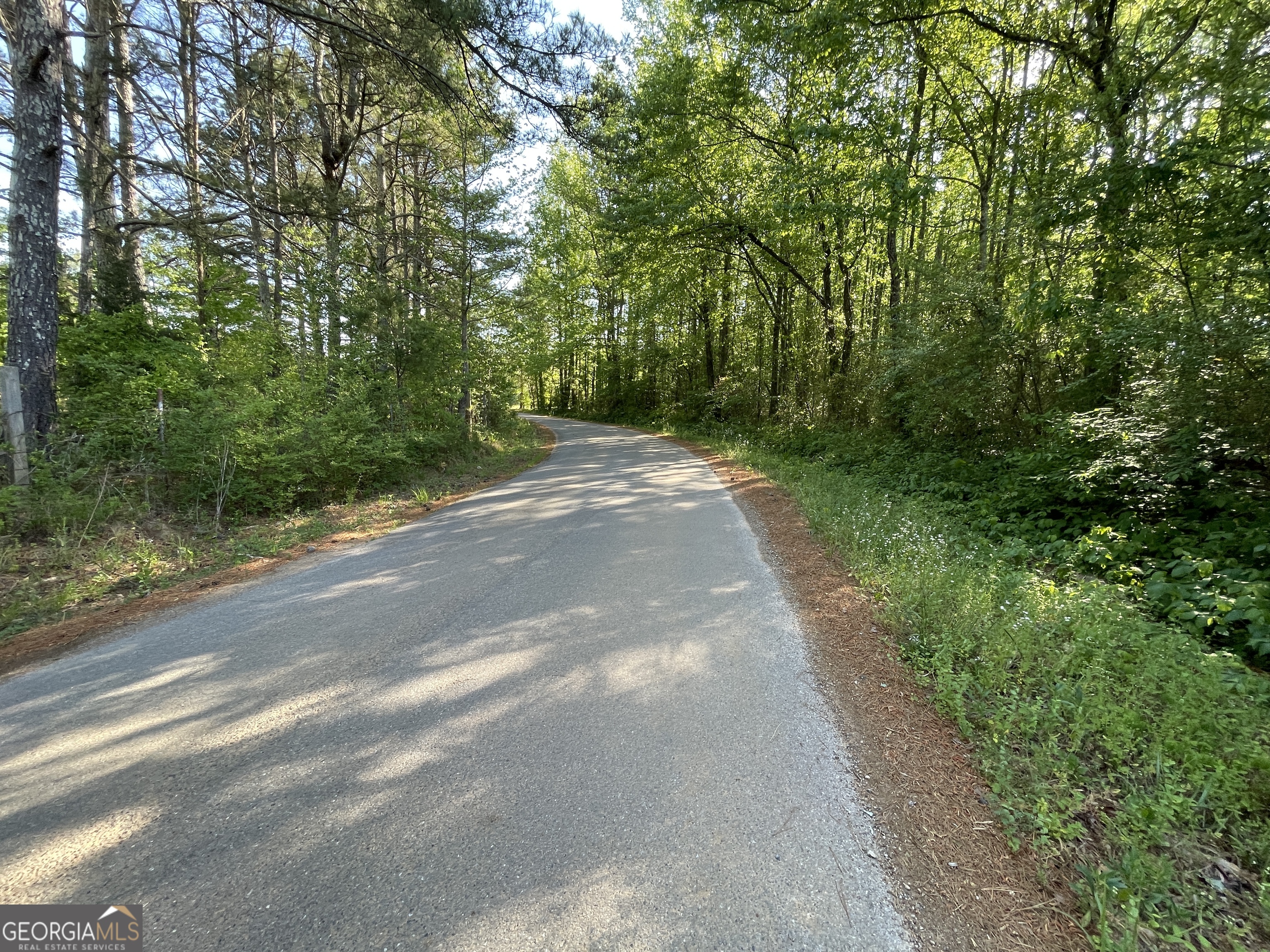 118 +/- Acres On Lumpkin Road Cedartown GA 30125