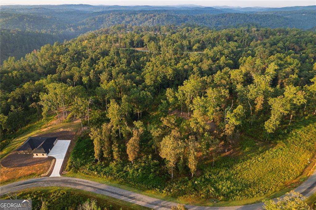 0 High River Road Ellijay GA 30540