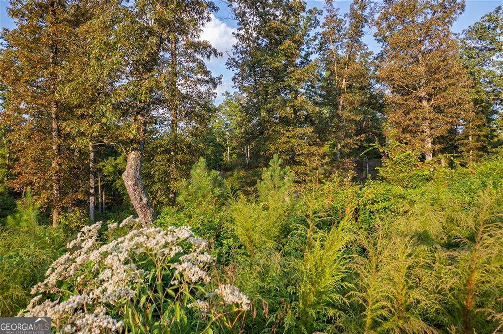 0 High River Road Ellijay GA 30540